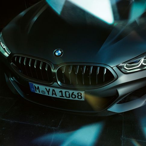 Doubles naseaux, BMW M850i xDrive Gran Coupé G16 Vue frontale rapprochée des doubles naseaux de la BMW M850i xDrive Gran Coupé G16 2019 en BMW Individual Frozen Bluestone metallic