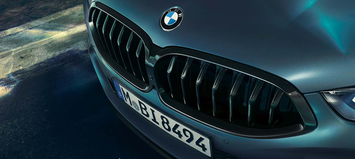 BMW M850i Coupé First Edition, BMW nieren Close-up van de BMW nieren van de BMW M850i Coupé First Edition