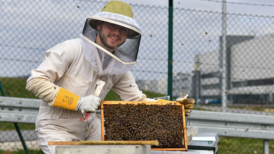 Biodiversiteit BMW duurzaamheid BMW duurzaamheid biodiversiteit imker met bijenraat