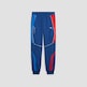 Puma BMW M Motorsport Regular Joggingbroek  victoria blue